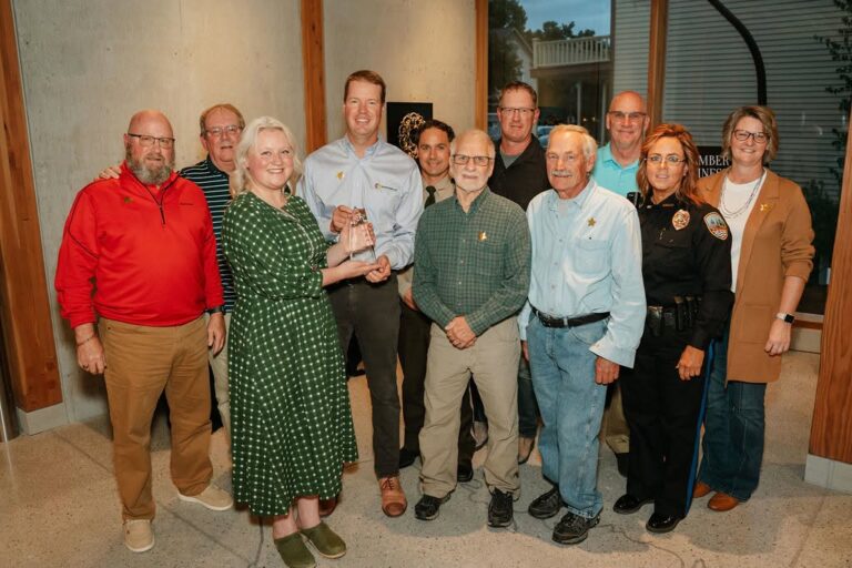 Decorah Holiday Lights Collaboration Award
